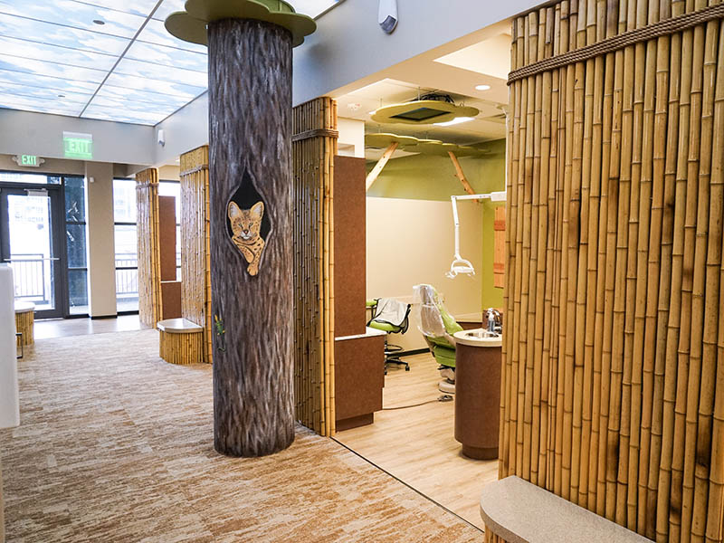 Open clinical area with safari-themed bamboo details